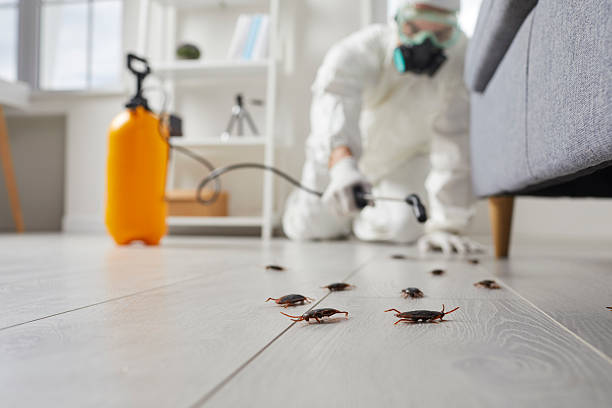 Trusted Cockroach Control service in Dunellen, NJ - Nex Pest Control