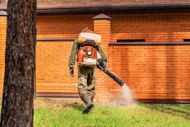 Trusted Termite Control service in Dunellen, NJ - Nex Pest Control